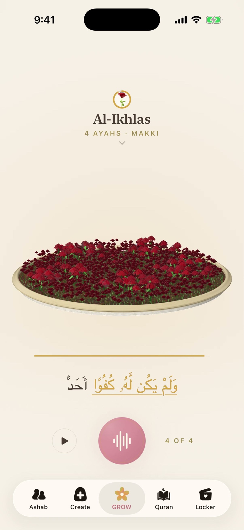 The Hablobi Garden fully grown with red flowers during the final ayah of Al-Ikhlas.